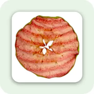 Apple Krispies – Kurutulmuş Yeşil Elma Dilimleri – Mayhoş & Renkli