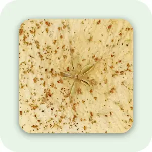 Apple Krispies – Kurutulmuş Elma Çıtırları – Kırmızı  – Tatlı & Baharatlı (Tarçın & Karanfilli)