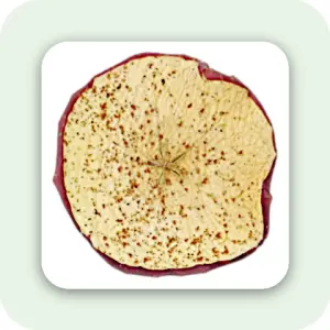 Apple Krispies – Kurutulmuş Elma Çıtırları – Kırmızı  – Tatlı & Baharatlı (Tarçın & Karanfilli)