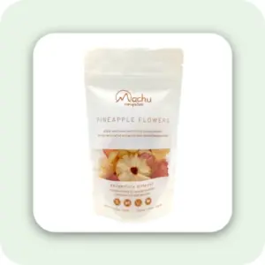 Pineapple Flowers – Kurutulmuş Ananas Çiçekleri – Sarı & Kırmızı
