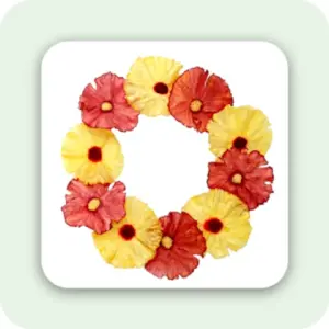 Pineapple Flowers – Kurutulmuş Ananas Çiçekleri – Sarı & Kırmızı