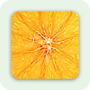 Orange Krispies – Kurutulmuş Portakal Çıtırları